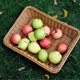thumbnail image 4 of Handmade Rattans Work Storage Trays Fruit Vegetables Bread Baskets, 4 of 4