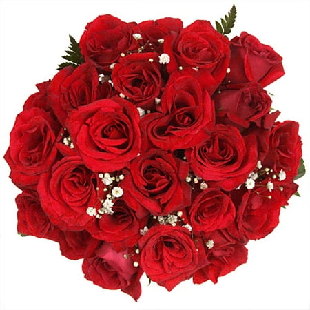 Classic Red Long Stemmed Roses