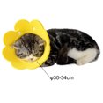 thumbnail image 2 of Collier de Récupération de Tournesol Collier de Protection Mignon pour Chaton pour Chatons, 2 of 10