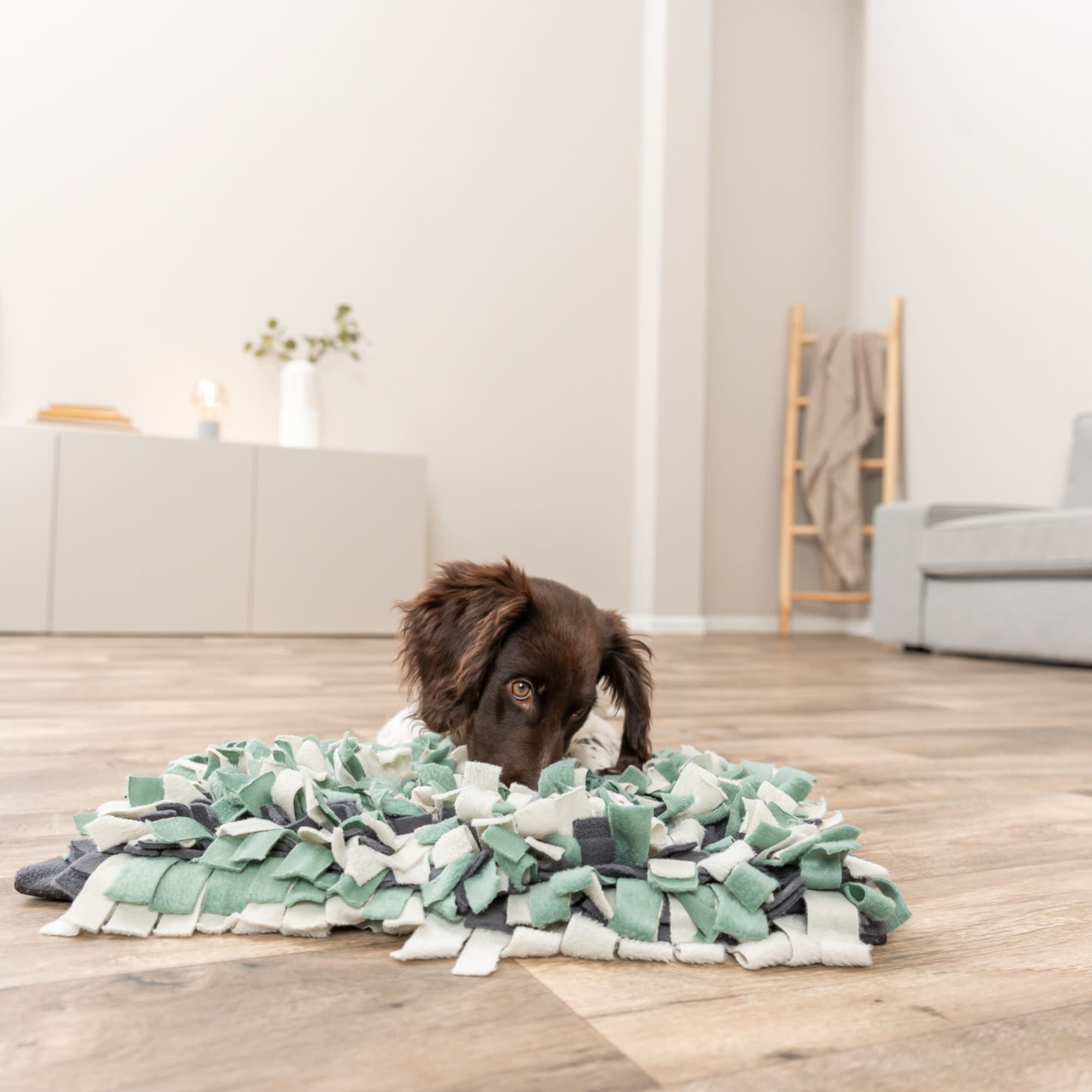 TRIXIE Snuffle Mat for Dogs Level 1 Enrichment Puzzle for Dogs Slow Feeder Foraging Training
