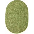 thumbnail image 2 of Rhody Rug Sandi Braided Indoor-Outdoor Oval Rug, Bayleaf, 5 x 8 ft., Reversible, Stain Resistant, 2 of 3