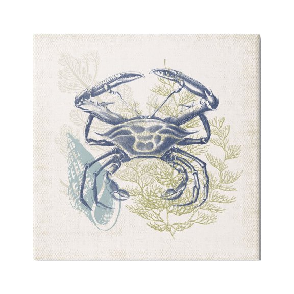 Stupell Industries Ocean Crab Detailed Botanical Overlay Rustic Design Graphic Art Gallery Wrapped Canvas Print Wall Art, Design by Victoria Barnes