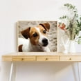 thumbnail image 2 of 5D Dog Jack Russell Terrier Diamond Painting by Number Kits, Animal Dog Cross Stitch DIY Paint with Full Drill Round Diamond Art Embroidery Kits Wall Decoration Festival Gift, 2 of 7