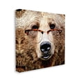 thumbnail image 3 of Stupell Wildlife Grizzly Bear Glasses Animals & Insects Painting Gallery Wrapped Canvas Print Wall Art, 3 of 7