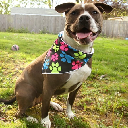 Save on LED Lighted Dog Bandanas