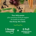 thumbnail image 2 of Suplemento Amazing Grass Greens Blend Superfood, 480 g, 2 of 6