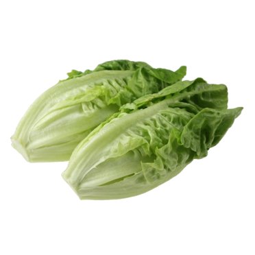 EdenWilds Wild Lettuce Seeds (Lactuca Virosa) – 50+ Seeds, USA Grown, Free Shipping