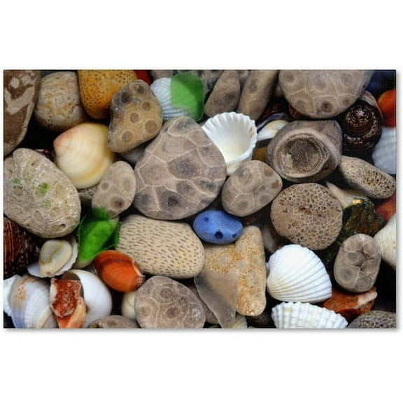 Trademark Fine Art "PetoskeyStones lll" Canvas Art by Michelle Calkins