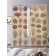 thumbnail image 3 of Ocean Plants Sheer Curtains 96 Inch Length 2 Panels Set Window Treatments, Colorful Coastal Marine Coral Vintage Beige Rod Pocket Semi Curtains for Living Room/Bedroom/Kitchen Décor, 104"W x 96"L, 3 of 7