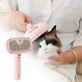 thumbnail image 1 of Peigne à Vaporiser pour Chats Outil de Toilettage Efficace pour un Manteau Plus Sain, 1 of 7