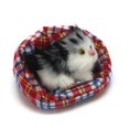 thumbnail image 3 of Coolayoung 4 Piezas Gato Durmiendo En Un Criadero Muñeca De Juguete Mini Gatito En La Almohadilla para Mascotas Decoración para Escritorio De Oficina Juguete De Mano para Regalo para Niños Niñas, 3 of 5