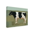 thumbnail image 2 of Trademark Fine Art 'Bovine Portrait II' Canvas Art by Emma Scarvey, 2 of 4