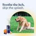 thumbnail image 5 of Honest Paws Dog Dry Shampoo, Waterless Shampoo, 8 oz Mandarin & Berry, 5 of 9