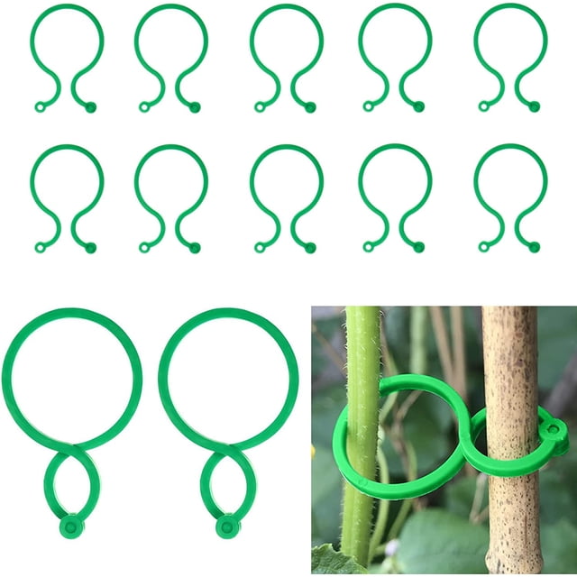 Lazos para plantas de jardín Clips de soporte para plantas con cierre, 50 piezas Abrazaderas de plástico reutilizables para tomates (4 cm x 2,7 cm) JAMW Sencillez