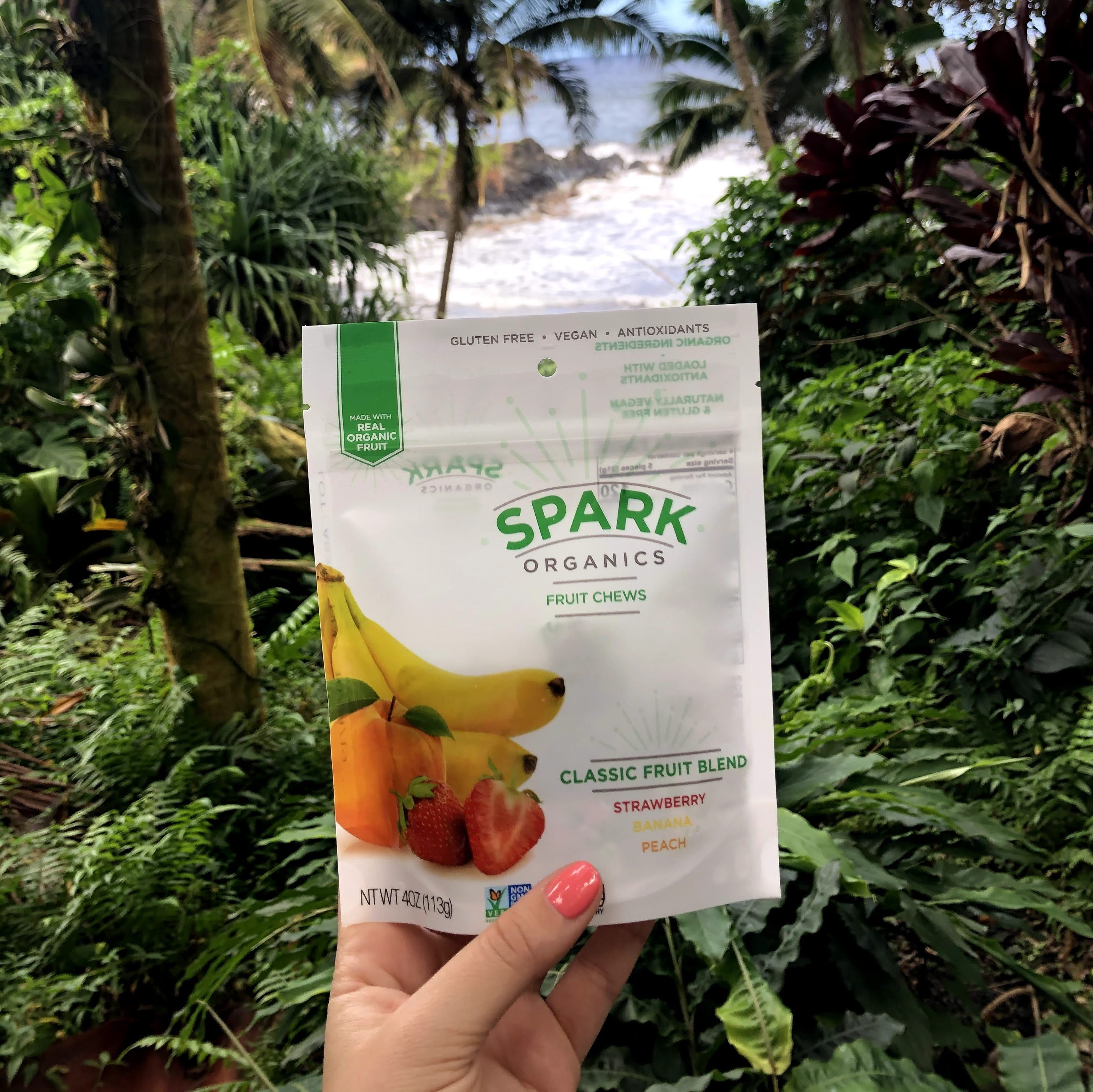 Spark Organics Classic Blend Flavored Fruit Chews, Dye Free Candy, 4 oz