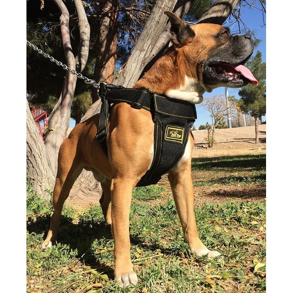 Big Dog Vest Harness Padded by KnK Dog Supplies | large breed no pull coat dress quick xl yellow soft safety small medium large car vest adjustable 10-15 lbs 25 lbs 30 lb 50 lb 70 lb 80 lb