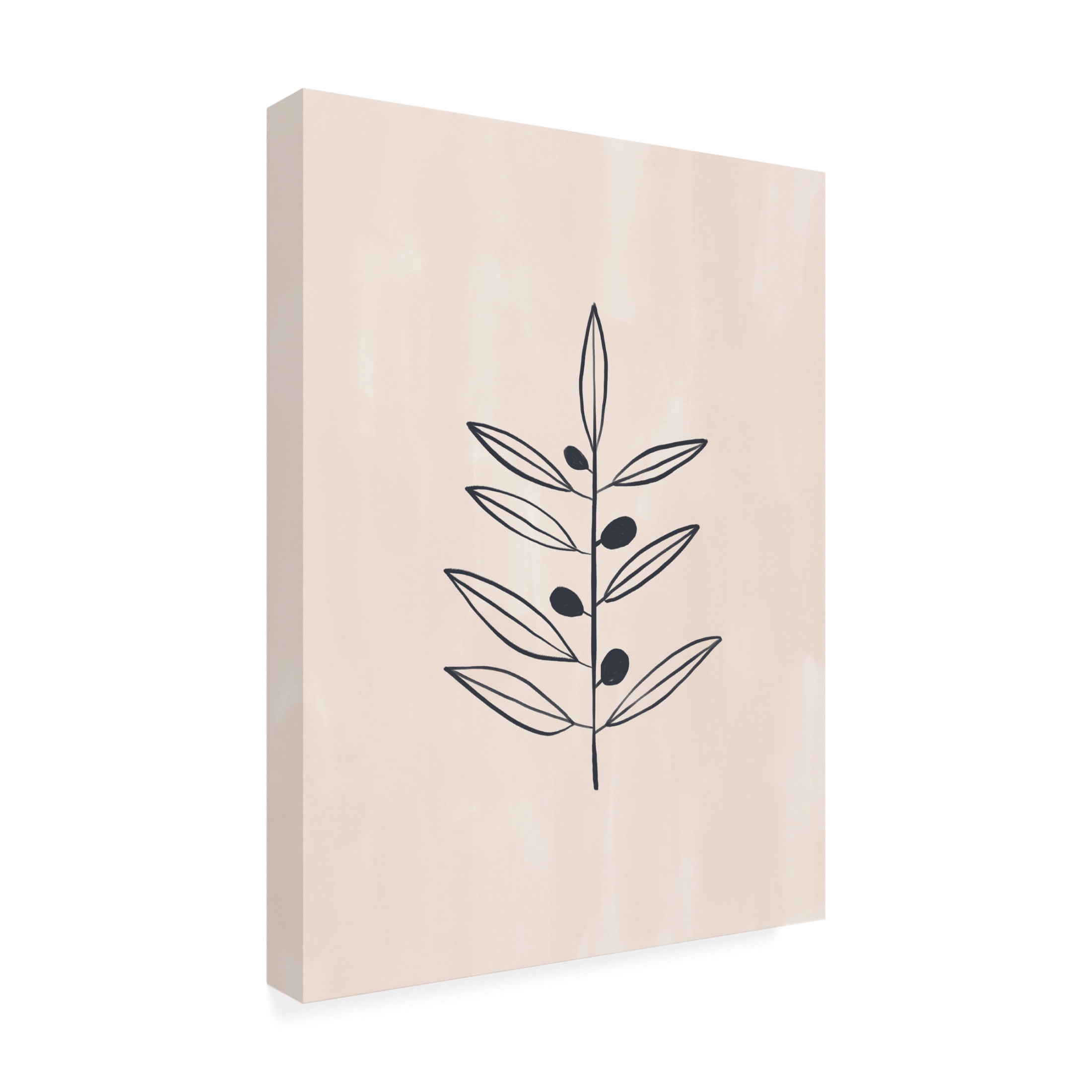 Trademark Fine Art Ivy Green Illustrations Olive Branche Canvas Wall Art