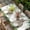 White, variant on Easter Table Cloths for 3 Foot Rectangle Tables, Country Spring Rabbit Botanical Eucalyptus Leaves Patio Waterproof Elastic Fitted Tablecloths, Washable Rectangular Table Cover for Camping