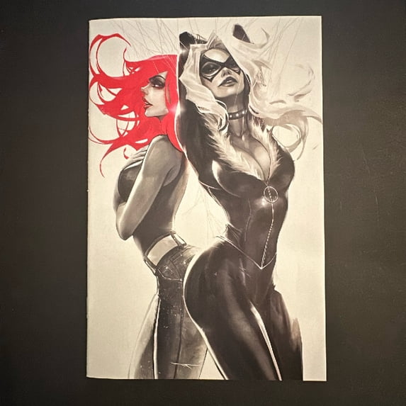 Mary Jane & Black Cat #1 Comic Book
