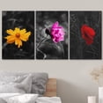 thumbnail image 3 of wall26 3 Panel Canvas Wall Art - Touch of Color Flowers on Black and White Background - Giclee Print Gallery Wrap Modern Home Art Ready to Hang - 16"x24" x 3 Panels, 3 of 5
