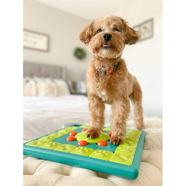 Nina Ottosson Multipuzzle Dog Puzzle Level 4 – Barkley's Marketplace