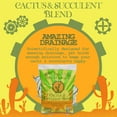 thumbnail image 3 of Organic Mechanics Cactus and Succulent Blend Potting Soil, 2qt, 3 of 4