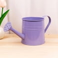 thumbnail image 2 of Watering Can for Indoor Plants - Mini Houseplants Watering Can with Handle | Small Watering Container for Gentle Pouring | Lightweight Watering Tool for Home Garden Potted Plants, 2 of 5