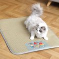 thumbnail image 1 of Heliisoer Kennel Summer Mat Ice Mat Pet Pet Supplies Cats And Dogs Oversized Rattan Mat Mat Breathable Dog Cool Mat, 1 of 8