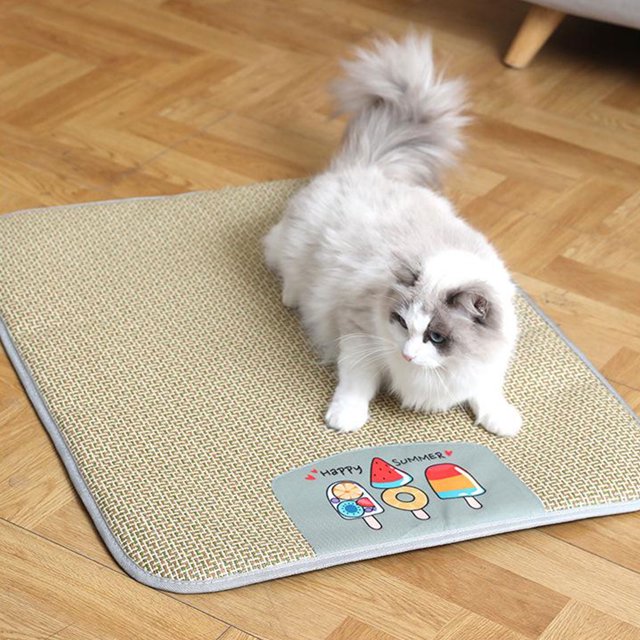 Heliisoer Kennel Summer Mat Ice Mat Pet Pet Supplies Cats And Dogs Oversized Rattan Mat Mat Breathable Dog Cool Mat