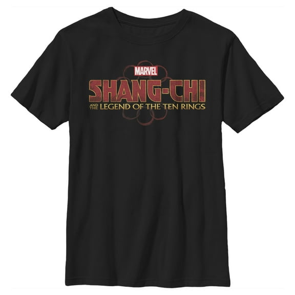 Boy's Marvel Shang-Chi and the Legend of the Ten Rings Logo Graphic Tee Black Small