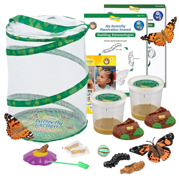 Butterfly Garden Insect Lore con 10 orugas pintadas