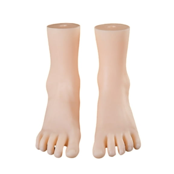 1 Pair Realistic Female Foot Anatomical Model Teaching Foot Anatomy Model