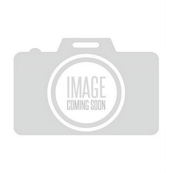 T-H Marine Supplies GHB-1-SS-DP Grab Handle with Stainless Steel Rings, Black