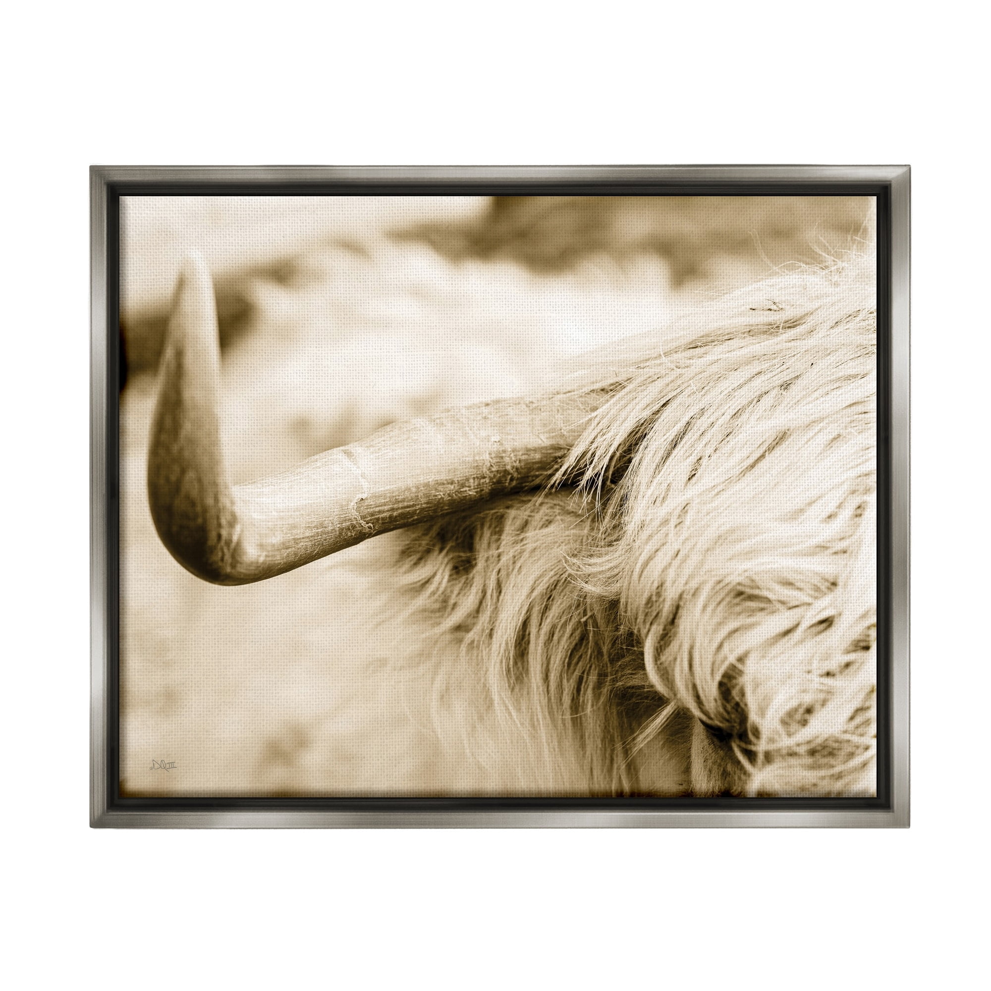 Stupell Industries Beautiful Longhorn Highland Cattle Horn Sepia Photography Photograph Luster Gray Floating Framed Canvas Print Wall Art, Design by Donnie Quillen
