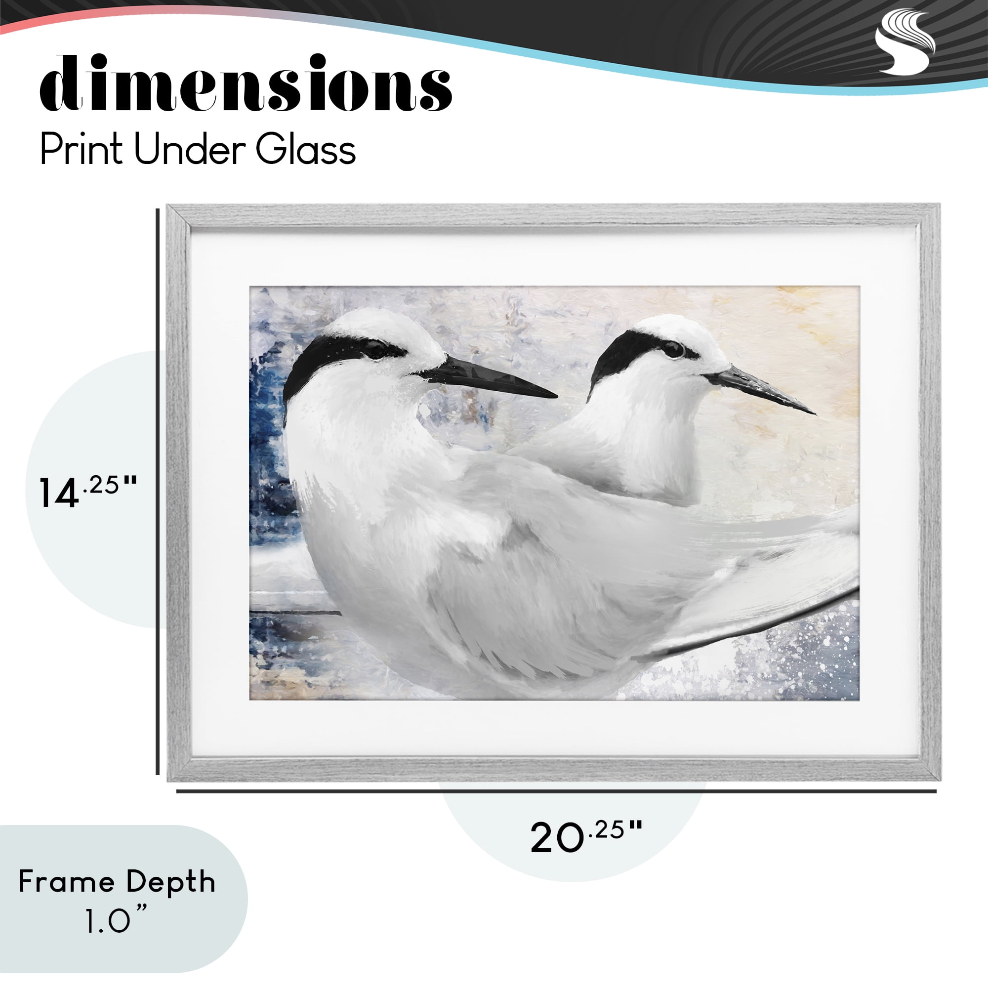 Stupell Industries Black Naped Tern Gray Framed Print Under Glass, design by Porter Hastings