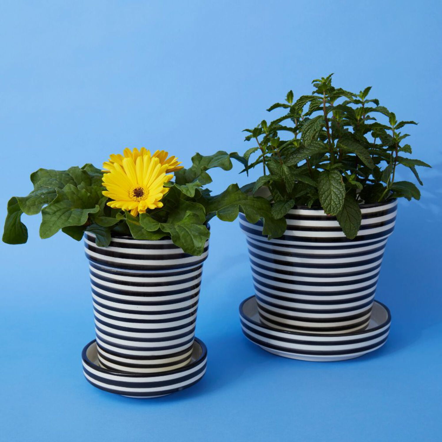where to buy a plant pot 4 inch Solid White Ceramic Planter with Metal Stand - Shop Succulent Cactus  Pots main image 0