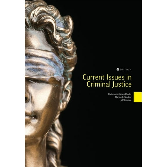 Current Issues in Criminal Justice, (Paperback)