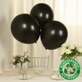 thumbnail image 2 of Efavormart 10 Pack Black Biodegradable Balloons, Eco-friendly Thickened Extra Strong Latex Helium Party Balloons - 18", 2 of 10
