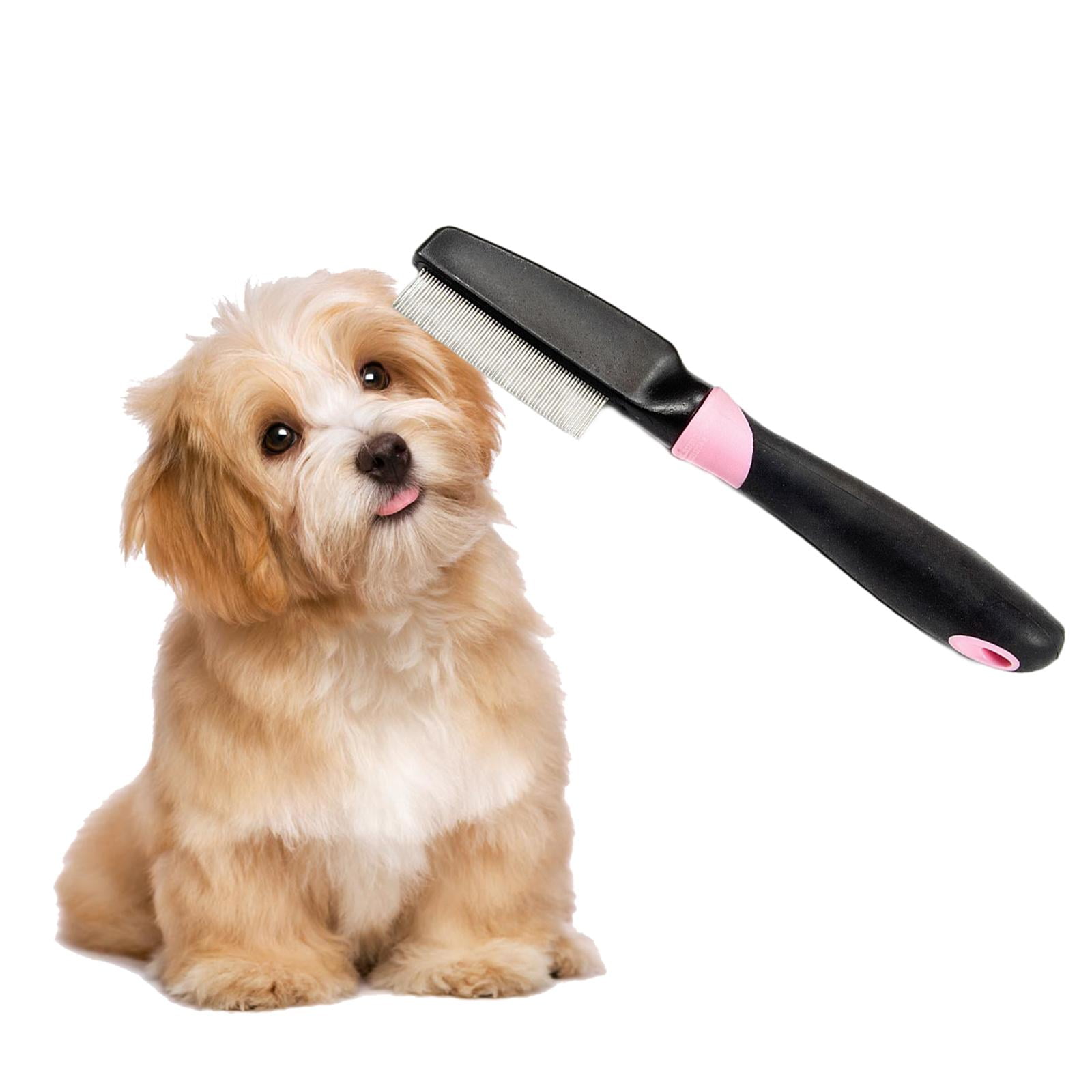 How Do You Brush A Cavachon