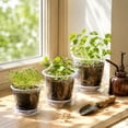 thumbnail image 4 of Plant Pots, Clear Plastic Drainage Holes Matching Saucers Tray Seed Starting Propagation Container 4 5 6 7 in Sizes Garden Sowing Vessels Botanical Growing Tool 6in, 4 of 6