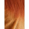thumbnail image 3 of Fun Costumes Child Deluxe Lion Faux Fur Jumpsuit Costume, 3 of 11