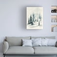 thumbnail image 3 of Jennifer Goldberger 'Misty Winter II' Canvas Art, 3 of 3