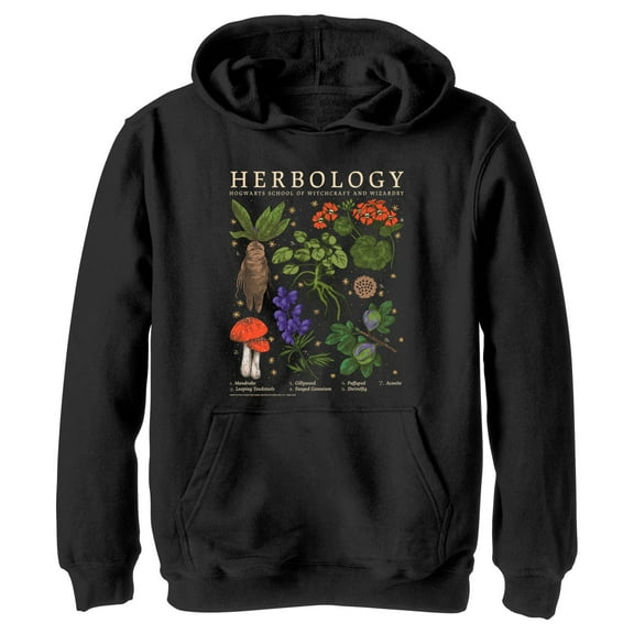 Boy's Harry Potter Hogwarts Herbology Pull Over Hoodie Black Small