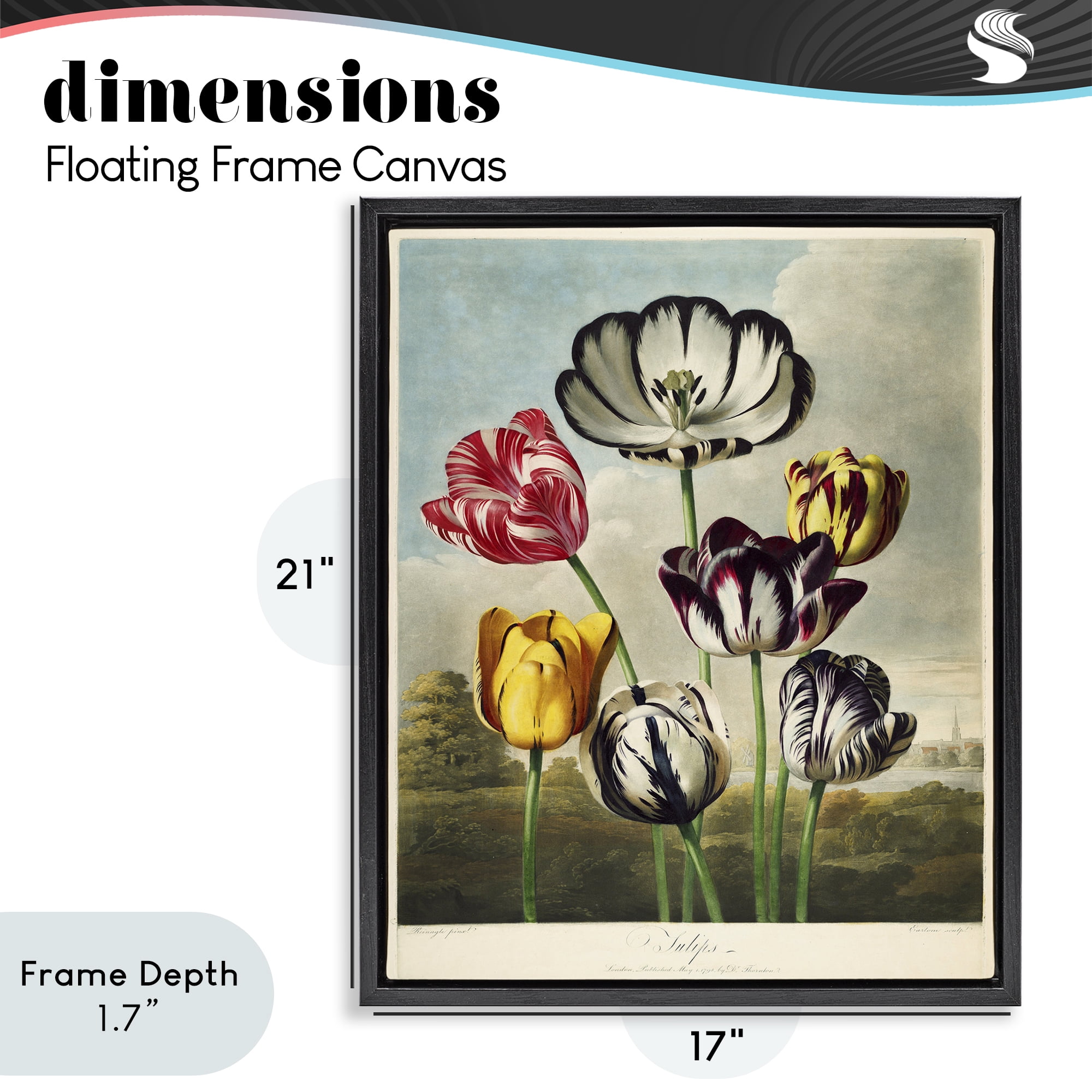 Stupell Industries Tulips From The Temple Black Framed Floater Canvas Wall Art, design by Print Collection