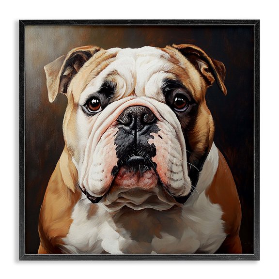 Stupell Industries Transitional Stoic Bulldog Portrait Black Framed Giclee Art, 12 x 12, by Tom Crehan