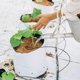 thumbnail image 4 of EXHUMKY 50Ud Metálicos Para Jardín Con Para Colgar Plantas Y Linternas, 4 of 8