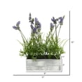 thumbnail image 2 of Vickerman FE181101 15 in. Green & Lavender Plant in Wood Rectangle Pot, 2 of 2