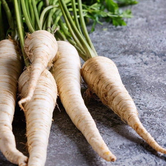 200  Hollow Crown Parsnip Seeds | Non-GMO | Heirloom | Fresh Garden Seeds