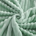 thumbnail image 2 of Ntbay Plush Flannel Fleece Throw Blanket, Soft Lightweight Fuzzy Luxury Bed Blanket for Couch Sofa Bed All Seasons, 50"x60", Mint, 2 of 5