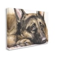 thumbnail image 3 of Stupell Industries Tired German Shepherd Dog Resting Head On Paw Painting Gallery Wrapped Canvas Print Wall Art, Design by George Dyachenko, 3 of 7